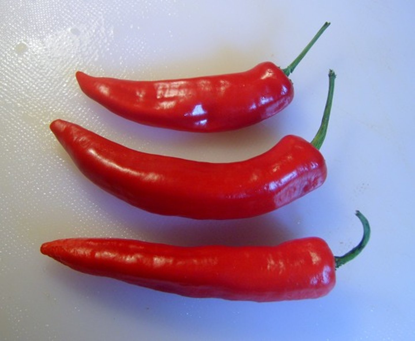 <p>chili pepper</p>