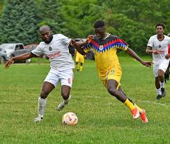 <p>من دوست دارم فوتبال بازی کنم. </p>