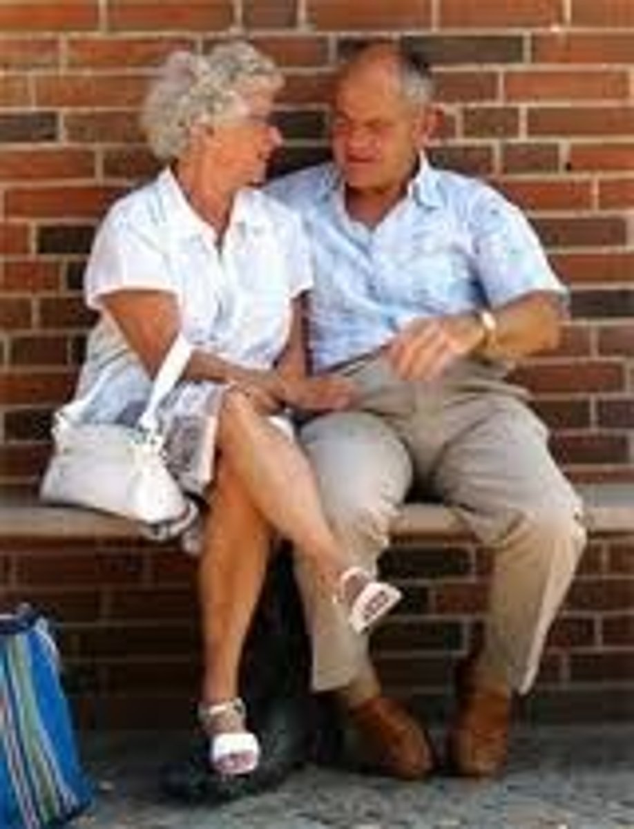 <p>(married)couple; partner</p>