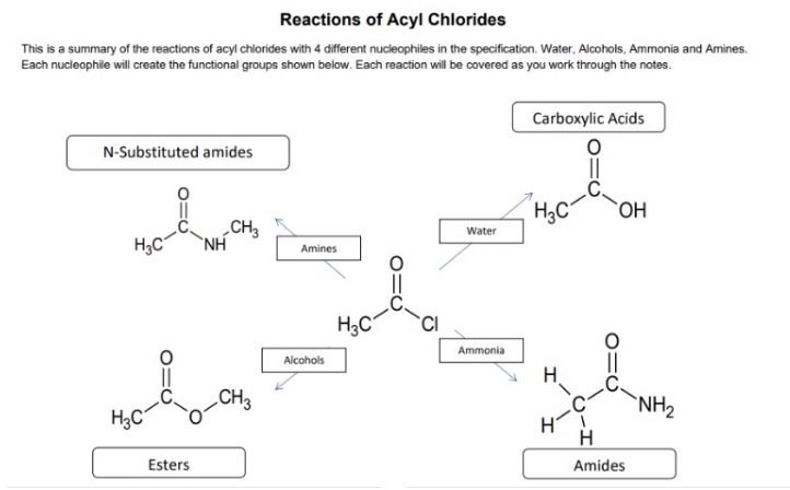 <ul><li><p>H₂O</p></li><li><p>NH₃</p></li><li><p>ROH</p></li><li><p>RNH₂</p></li></ul><p></p>