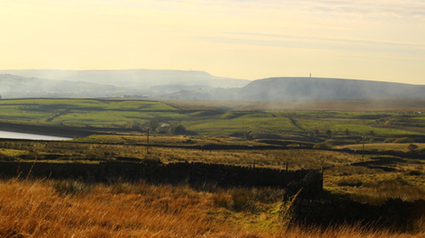<p>- On mountain sides or tops, up to 350m<br><br>- Precipitation and drainage lead to rapid leaching or iron and aluminium oxides (eluviation) from the A horizon leaving it rich in silica and ash-grey in colour<br><br>The deposition of iron oxides in the B horizon (illuviation) creates a red-brown colouring and may concentrate to form a thin solid layer called an iron-pan <br>... this impedes drainage and can cause waterlogging</p>