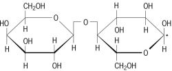 <p>what two monosaccharides make up lactose ?</p>