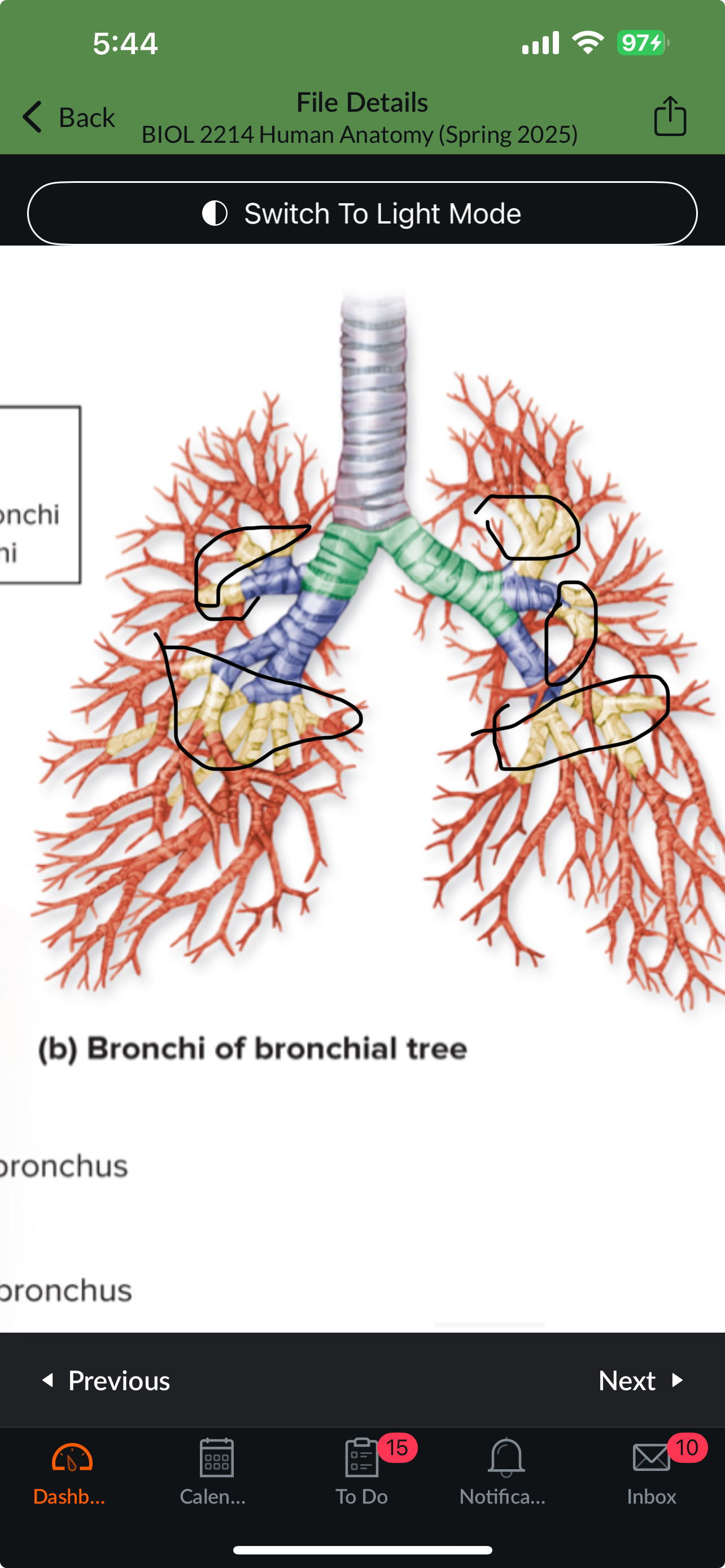 knowt flashcard image