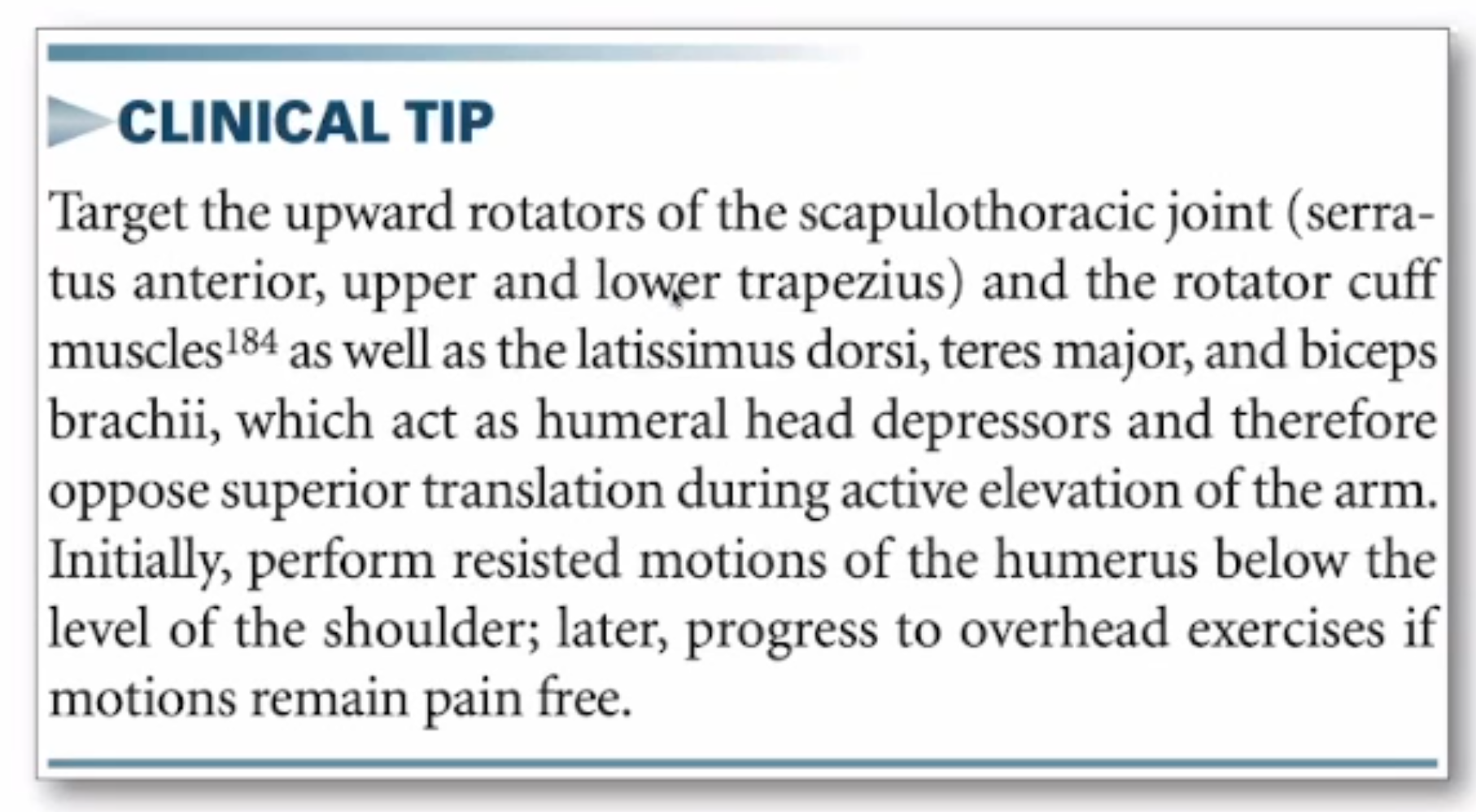 <ul><li><p>B&nbsp;</p></li></ul><p></p><ul><li><p>A, C, D - Scapiulthoracic ms&nbsp;</p></li></ul><p></p>