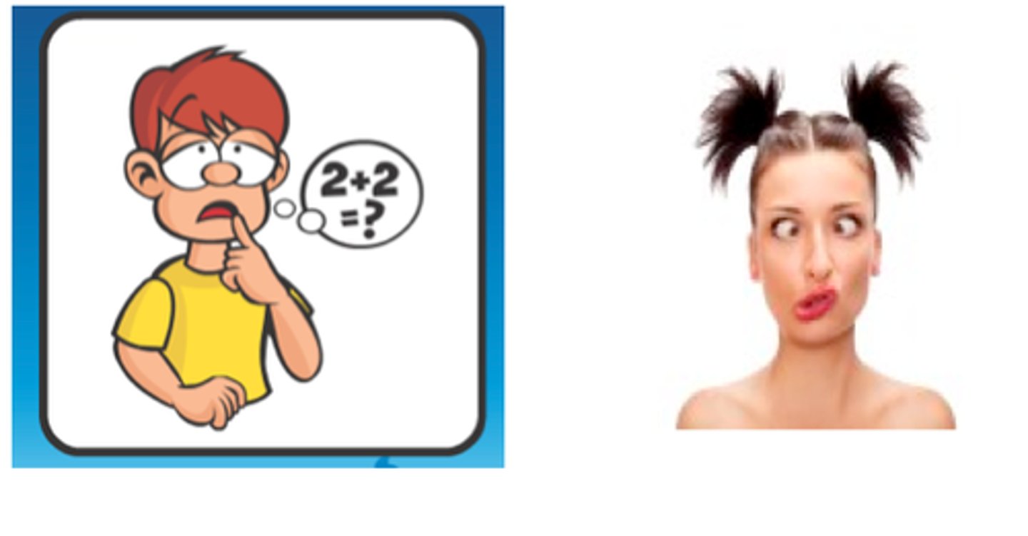 <p>bête - stupide</p>