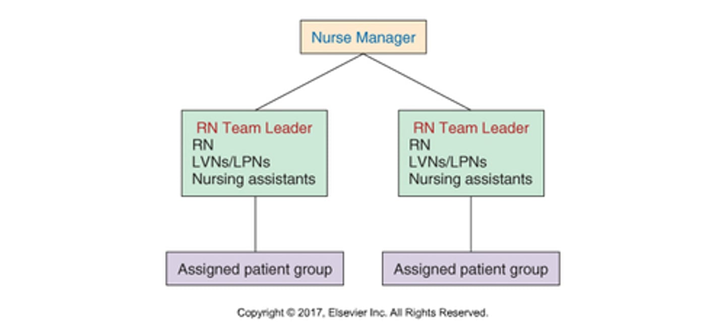 <p>-a variation of functional nursing</p><p>-charge nurse delegates cares to a group of patients (not broken down by tasks); multiple team leaders</p><p>-(ex): RN, LPN, and UAP team up to provide care to a group of patients</p><p>-pros: multiple team RNs coordinating care for a group of patients, hope to improve patient satisfaction</p><p>-cons: RN has to have good leadership skills</p>