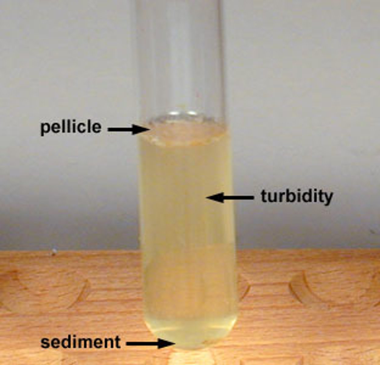 <p>Even cloudy growth.</p>