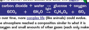 <ul><li><p>as well as absorbing carbon dioxide in atmosphere, green plants &amp; algae produced oxygen by photosynthesis - when plants use light to convert carbon dioxide &amp; water into sugars:</p><p>Carbon dioxide + water → glucose + oxygen</p></li><li><p>algae evolved first (~2.7 B years ago), over next B years or so green plants evolved</p></li><li><p>as oxygen levels built up in atmosphere over time more complex life (animals) could evolve</p></li><li><p>eventually (~200M years ago) atmosphere reached composition similar to what it is today → ~80% nitrogen, 20% oxygen &amp; small amounts of other gases (each make up &gt;1%), mainly carbon dioxide, noble gases &amp; water vapour</p></li></ul>