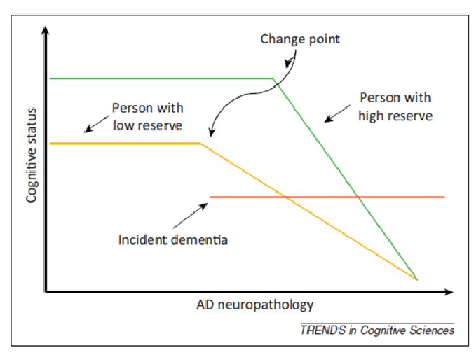 <p>Striking inter-individual variability: in cross-sectional studies: some 80-year-olds perform as well as, or better than, some 40-year-olds on cognitive tasks that assess functions often impaired by ageing (e.g., episodic memory)</p><p></p><p>Why is that?</p><ul><li><p><strong>Cognitive reserve</strong>: Differences in cognitive processes as a function of lifetime intellectual activities and other environmental factors → Explain differential susceptibility to functional impairment / cognitive decline. </p></li></ul><p></p>
