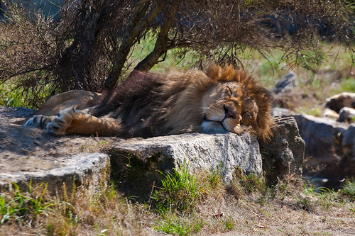rest