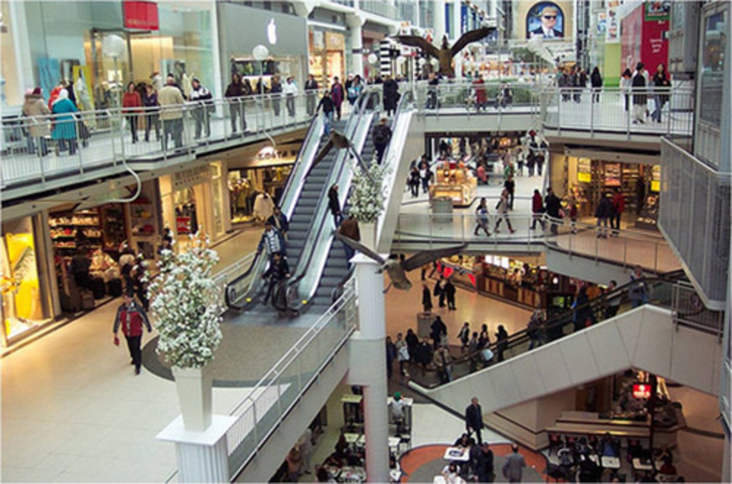 <p>The shopping centre</p>