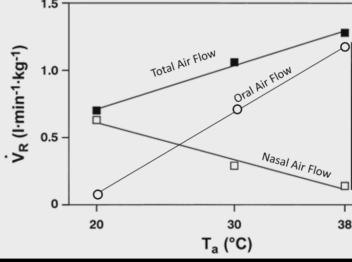 <ul><li><p>Reindeer study</p></li><li><p>Total airflow in respiratory system increases as temp gets hotter and we pant more</p></li><li><p>When reindeer not panting : barely any airflow in oral cavity, 90% of air flow through nasal cavity</p></li><li><p>When reindeer panting: barely any airflow in nasal cavity, 95% of air flow through oral cavity</p></li><li><p>Why?</p><ul><li><p>Air that comes out of nose is cooler than air from mouth</p></li><li><p>This is because in nasal cavity, we have structure called nasal turbinates. They reabsorb heat from nasal air back to body before it gets exhaled. More nasal turbinates = more heat reabsorbed and less heat lost when you breath out</p></li><li><p>Oral breathing bybysses the nasal turbinates and maximizes ability to get rid of heat from body</p></li></ul></li></ul><p></p>