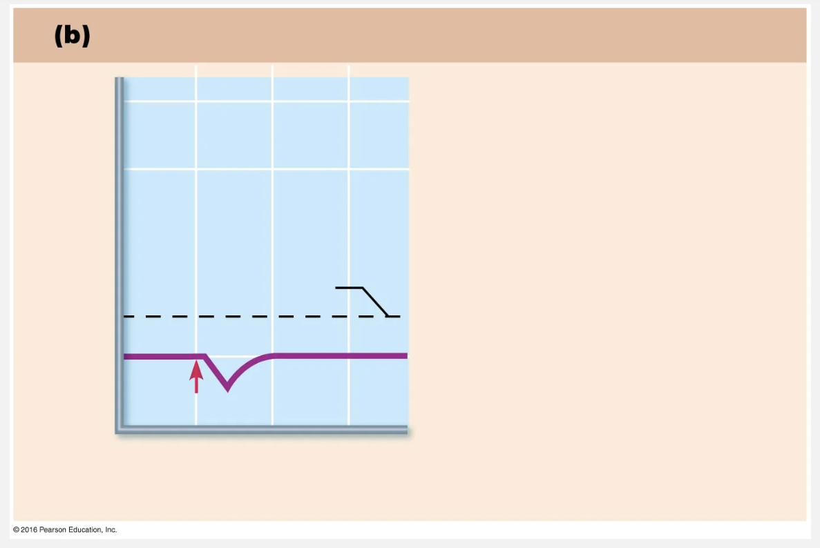 <p>this graph shows (IGNORE THE ARROW)</p>