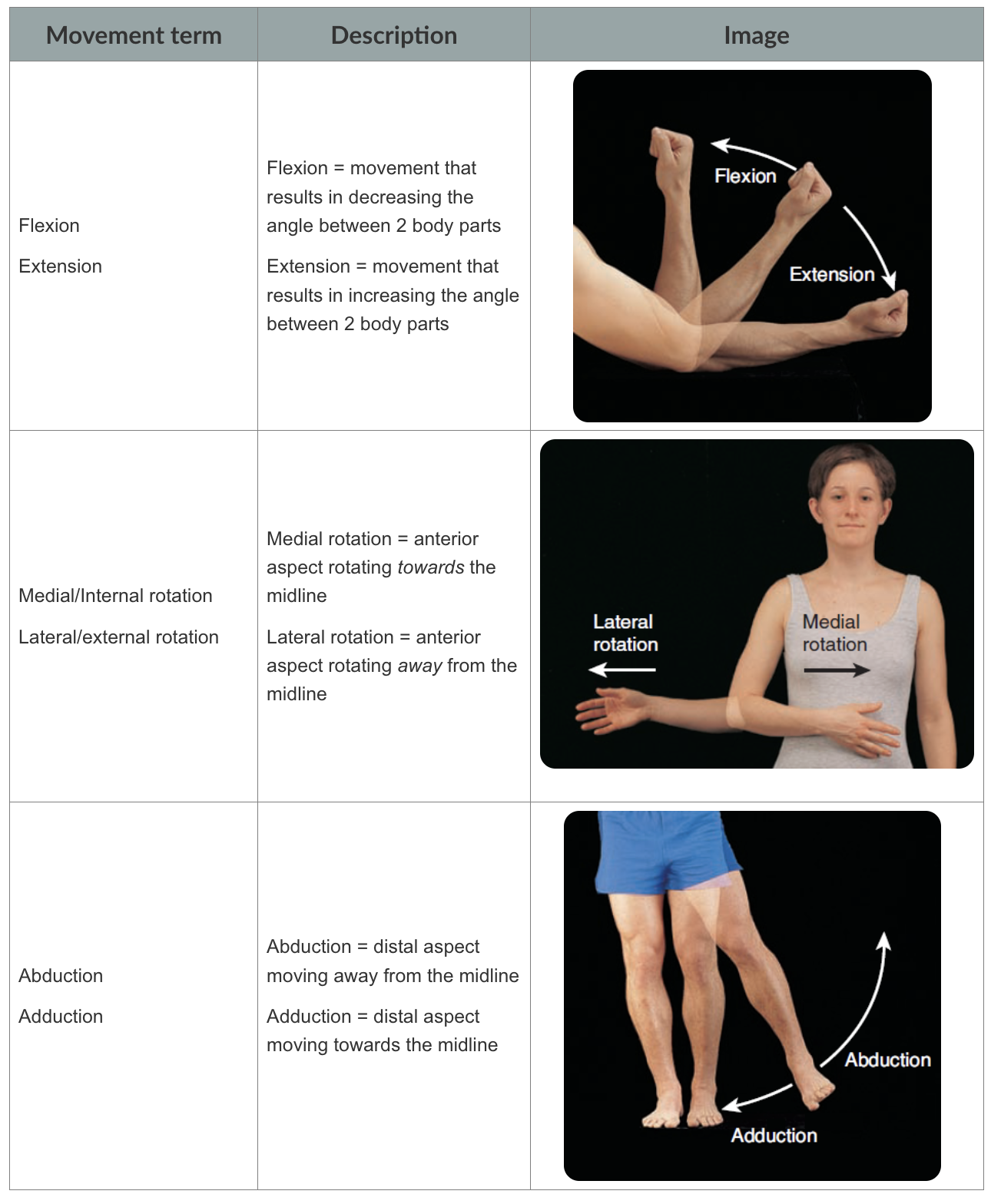 <p>What aer the synovial joint movement terms?</p>