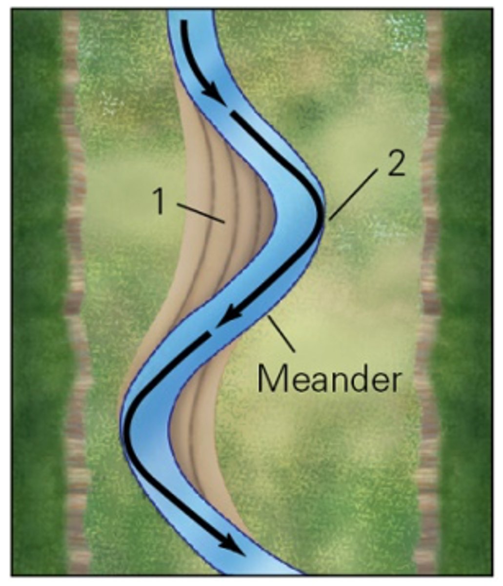 <p>1. point bar</p><p>2. cut bank</p>