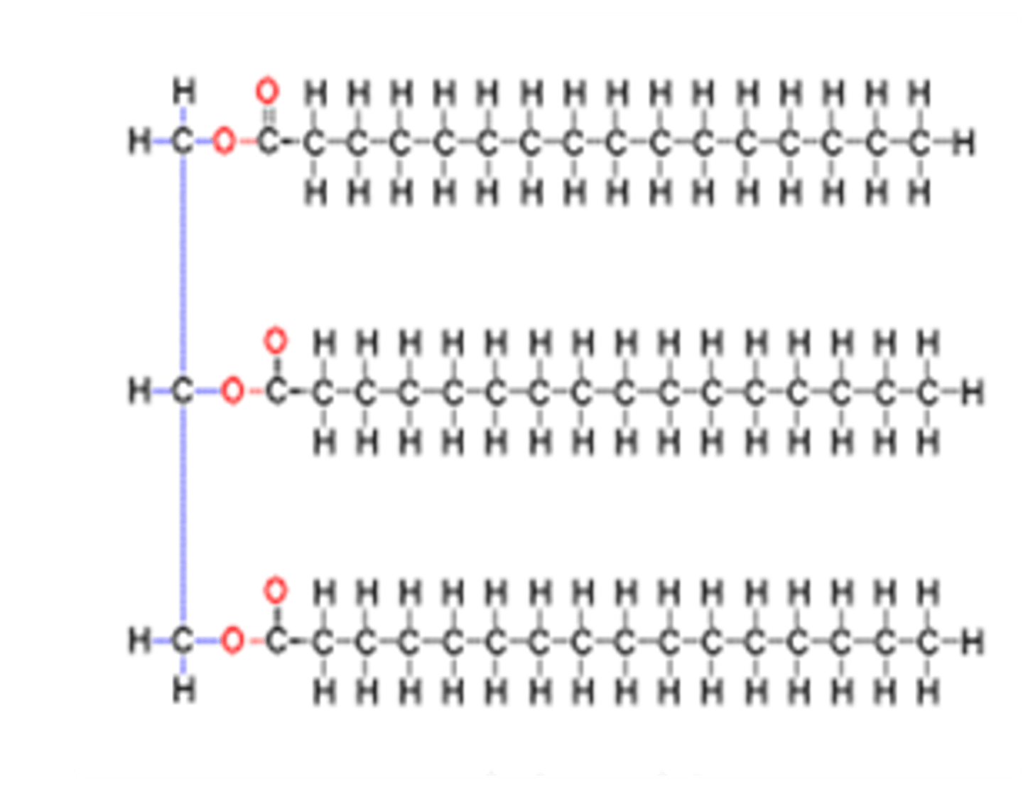 <p>A triacylglyceride consists of three acyl groups bound to a glyceride molecule via ester bonds.</p>