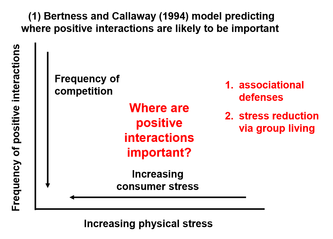 <p><em>Conceptual Models </em></p><p>Where are each type of positive interaction (1. associational defenses &amp; 2. stress reduction via group living) most important? </p>