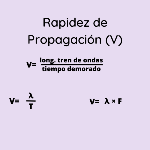 La rapidez de propagación es la velocidad a la que se desplaza una onda en un medio dado. Se representa con la letra v y se mide en metros por segundo (m/s).