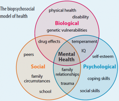 <p>integrated approach that incorporates biological, psychological, and social-cultural levels of analysis</p>