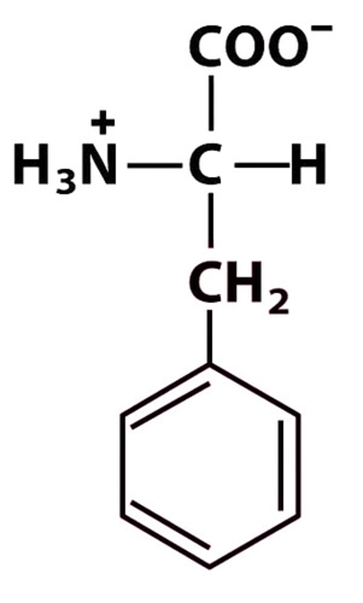 <p>Give the symbol, abbreviation, Name of this amino acid</p>