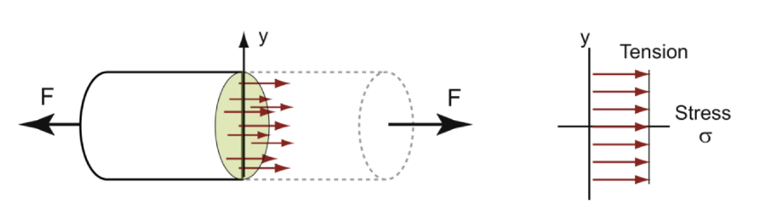 <p>σ=F/A</p><p>ε=σ/E</p><p>ε=δ/L<sub>0</sub></p><p>Relation between load and extension: δ=FL<sub>0</sub>/AE</p><p>Stiffness: S=F/δ = AE/L<sub>0</sub></p><p>Shape of the cross section does not matter</p><p>uniform stress when loaded in tension with force F</p>