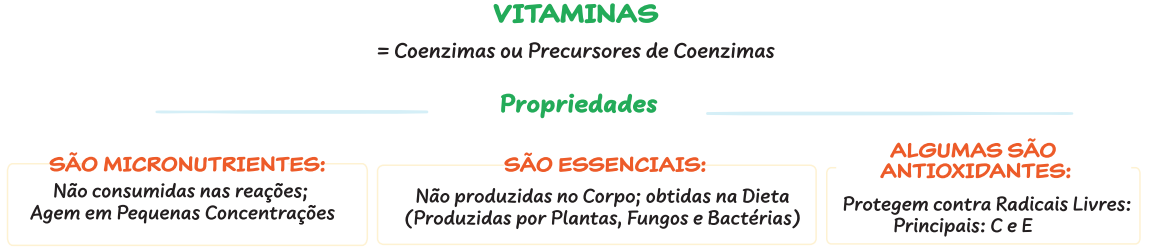 <p><span>As vitaminas são </span>nutrientes orgânicos essenciais para a saúde humana.</p>