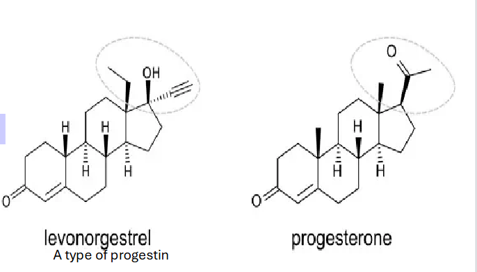 <p><span style="color: rgb(0, 0, 0);"><span>• Contains progestin (mimics progesterone)</span></span><span style="color: rgb(0, 0, 0);"><br></span><span style="color: rgb(0, 0, 0);"><span>• Negative feedback on Hypothalamus and Anterior Pituitary</span></span><span style="color: rgb(0, 0, 0);"><br></span><span style="color: rgb(0, 0, 0);"><span>• Prevents ovulation by blocking LH surge</span></span><span style="color: rgb(0, 0, 0);"><br></span><span style="color: rgb(0, 0, 0);"><span>• Thickens cervical mucus</span></span><span style="color: rgb(0, 0, 0);"><br></span><span style="color: rgb(0, 0, 0);"><span>• Thins endometrium</span></span><span style="color: rgb(0, 0, 0);"><br></span><span style="color: rgb(0, 0, 0);"><strong><span>• Key Idea:</span></strong><span> “No LH surge = no ovulation.</span></span></p>