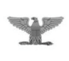 <p>Navy O-6</p>