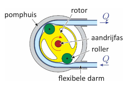 <ul><li><p>positieve verplaatsingspomp</p></li></ul>