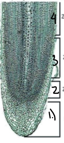 <p>What is 1</p>