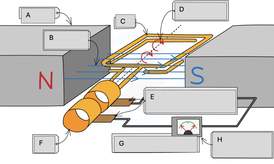 <p>Magnetic field lines</p>