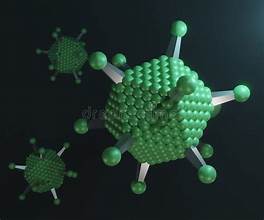 <p>e.g. adenovirus</p>