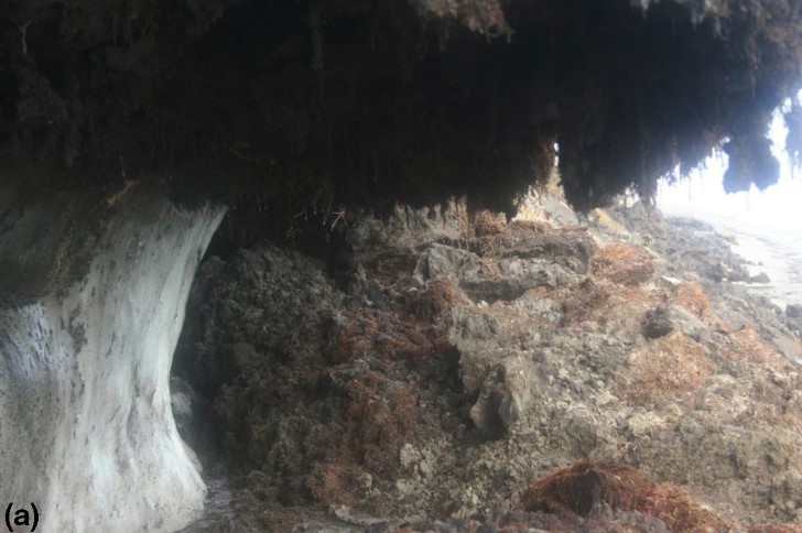 * lenses of pure ice dev in permafrost sediment
* pic: southern Banks Island, Northwest Territories