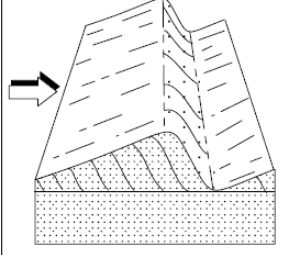 <p>What kind of ripples are these? What flow regimes do they form in?</p>