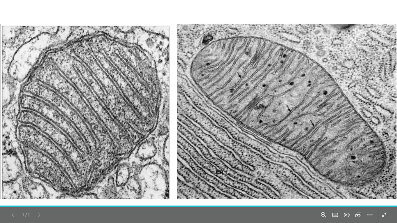 <p>identify </p><p>mention the function</p>