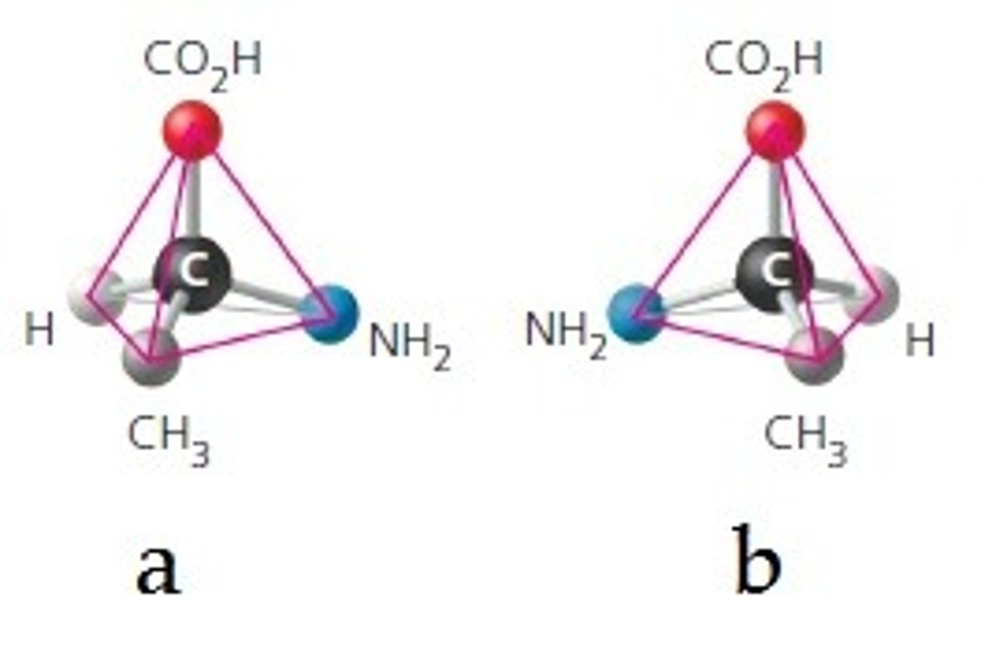 <p>isomers which are nonsuperimposable mirror images</p>