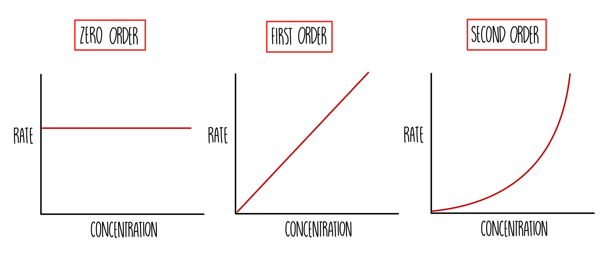 <p>Shows how the rate depends on concentration &amp; can be used to determine the reaction order:</p><ul><li><p>made by finding the rate of reaction (from the gradient of a concentration-time graph) at different concentrations</p></li><li><p>then plotting rate (y-axis) against concentration (x-axis)</p></li></ul><p></p>