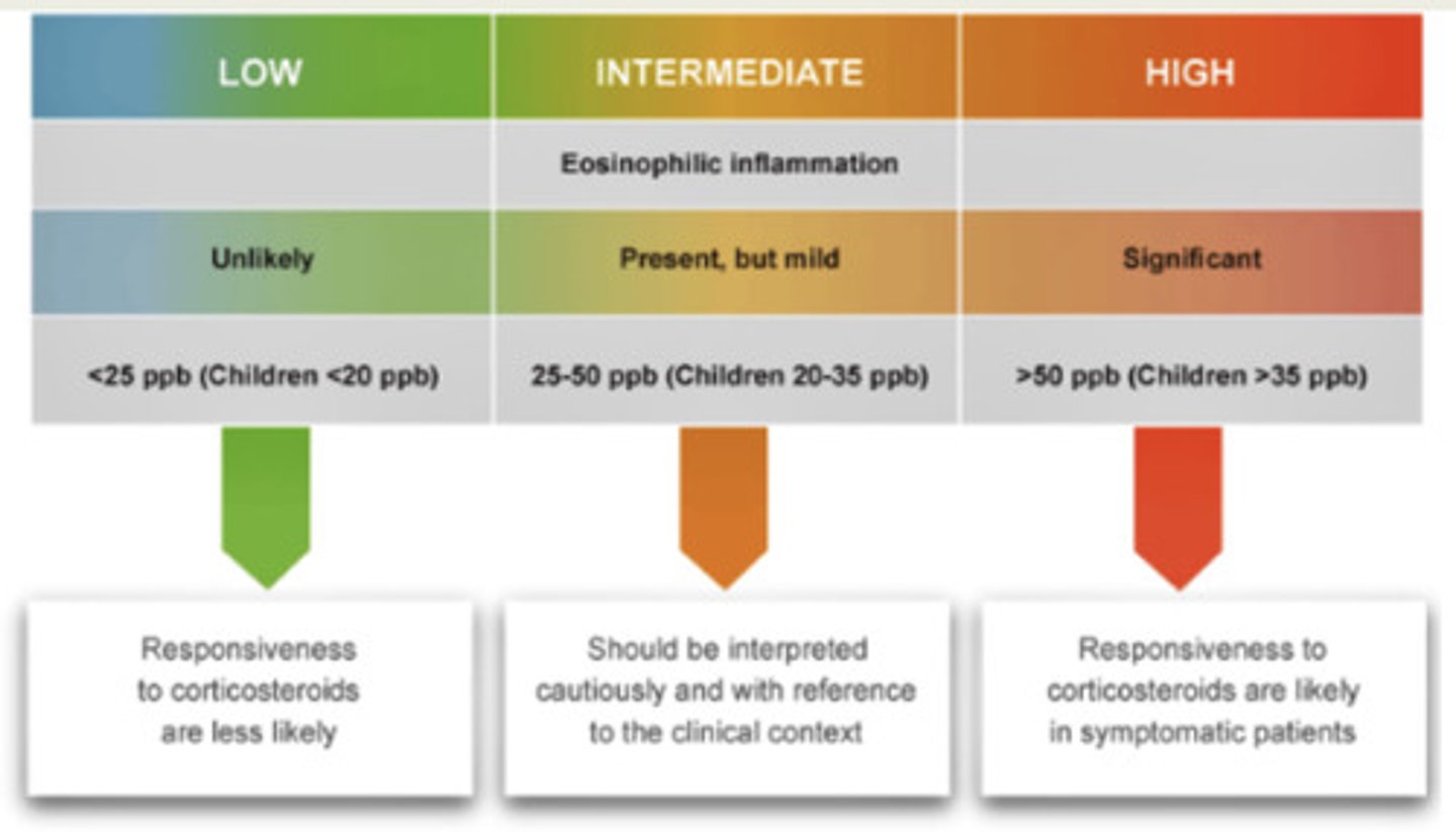 <p>FeNO is gentle breathing - calm exhalation. This is the eosinophilic inflammation as NO is produced by eosinophils.</p><p>It is only recently that FeNO has been used in primary care now.</p><p>It is non-invasive simple, non-aerosol generating</p><p>It is type 2 inflammation which drives eosinophilic asthma.</p><p>Cut-off for asthma diagnosis is elevated in children.</p><p>If low FeNO, asthma is unlikely.</p><p>If FeNO is high, (FeNO level 50 ppb for adults) asthma is highly likely</p>
