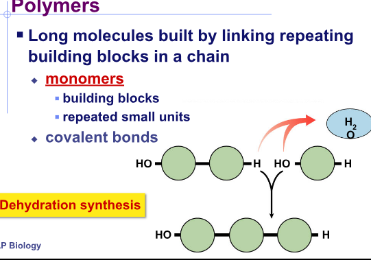 <p>What are polymers?</p>