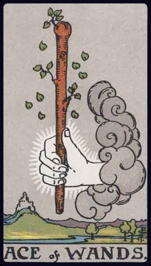 <p>ACE OF WANDS</p>