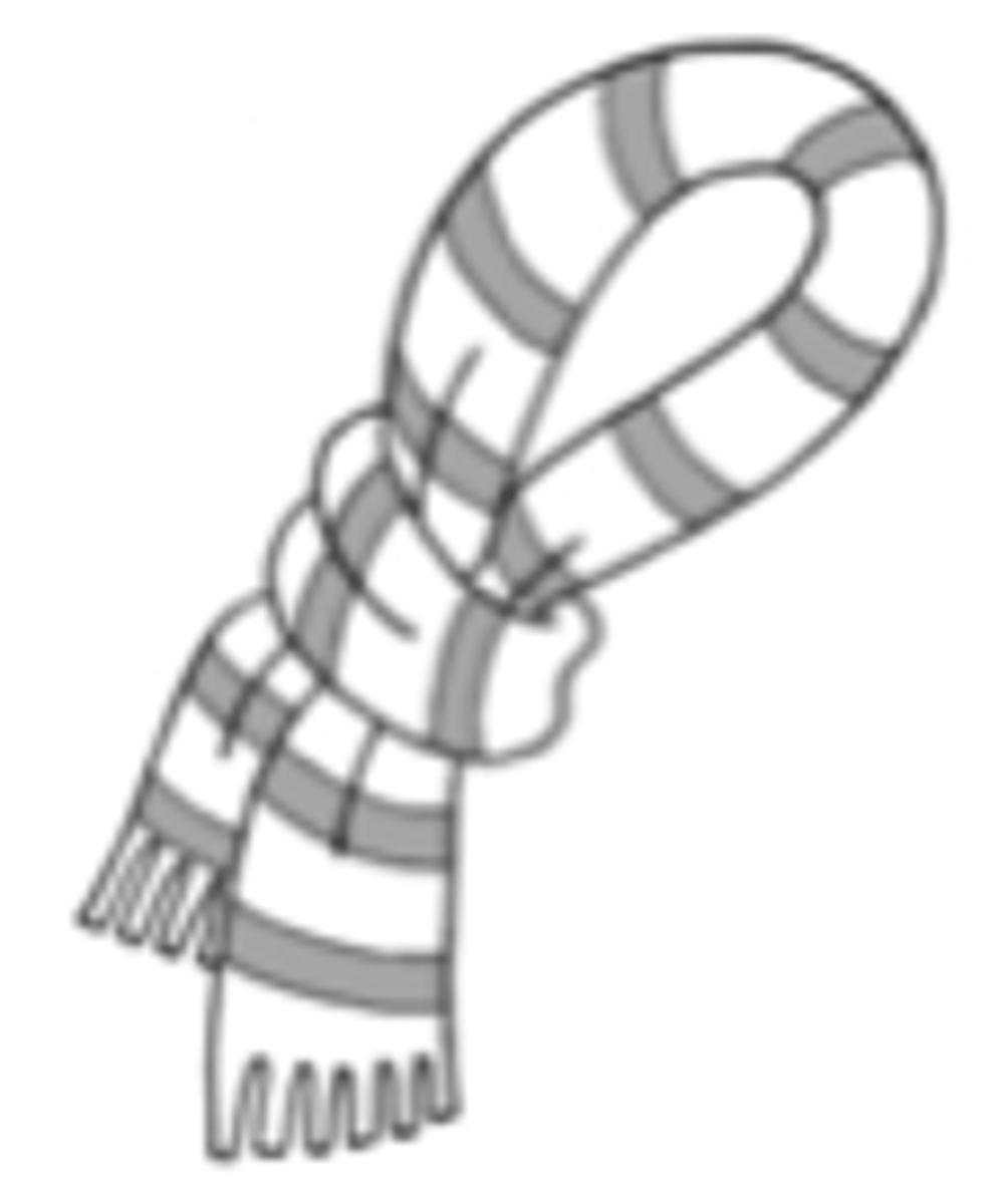 <p>winter scarf</p>