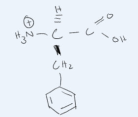 <p>What amino acid is this? </p>