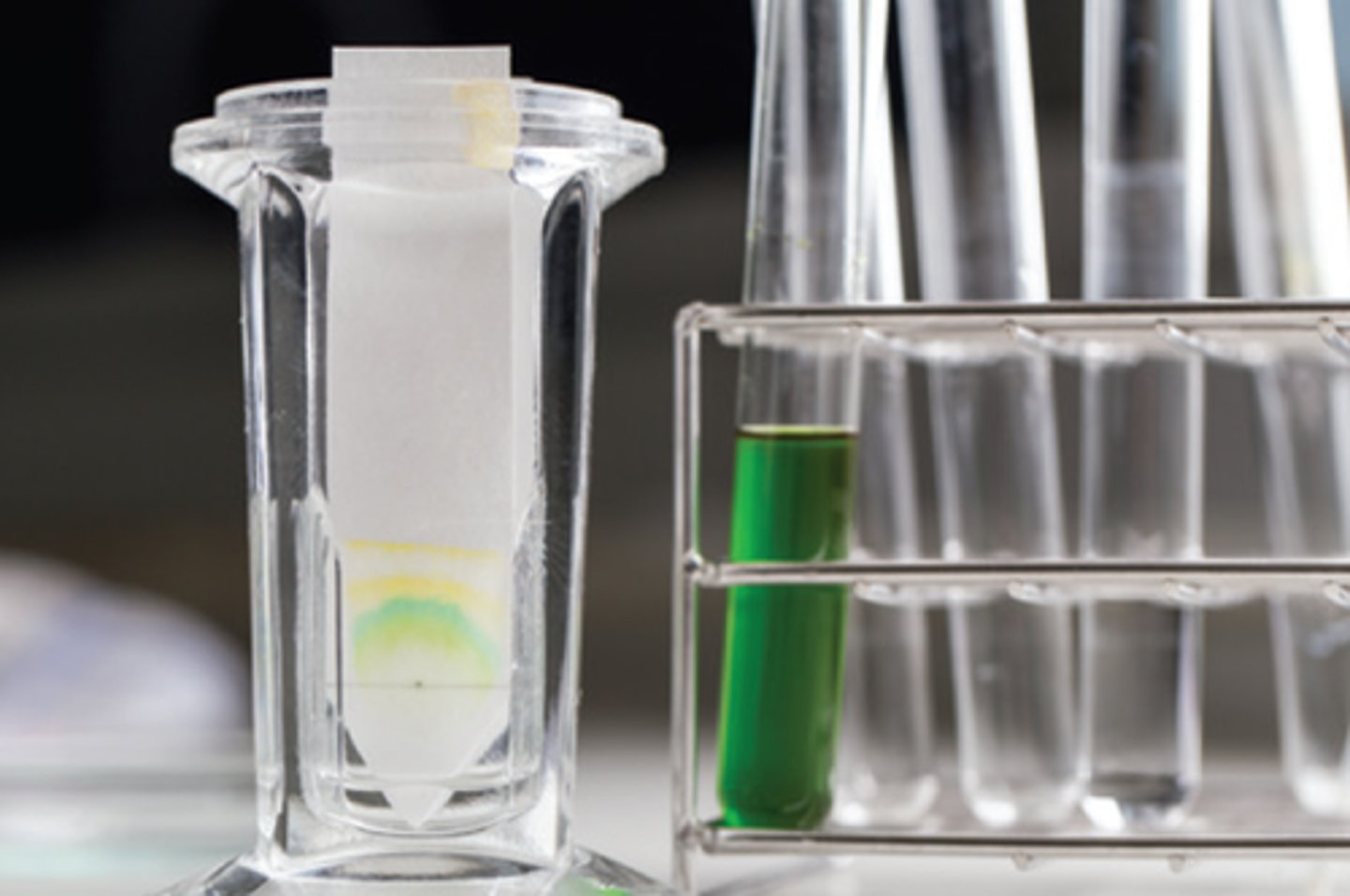 <p>an analytical technique for separating and identifying mixtures; the stationary phase is a thin strip of absorbent paper</p>