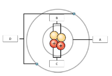 <p>Using this figure match the letters to each term:</p>