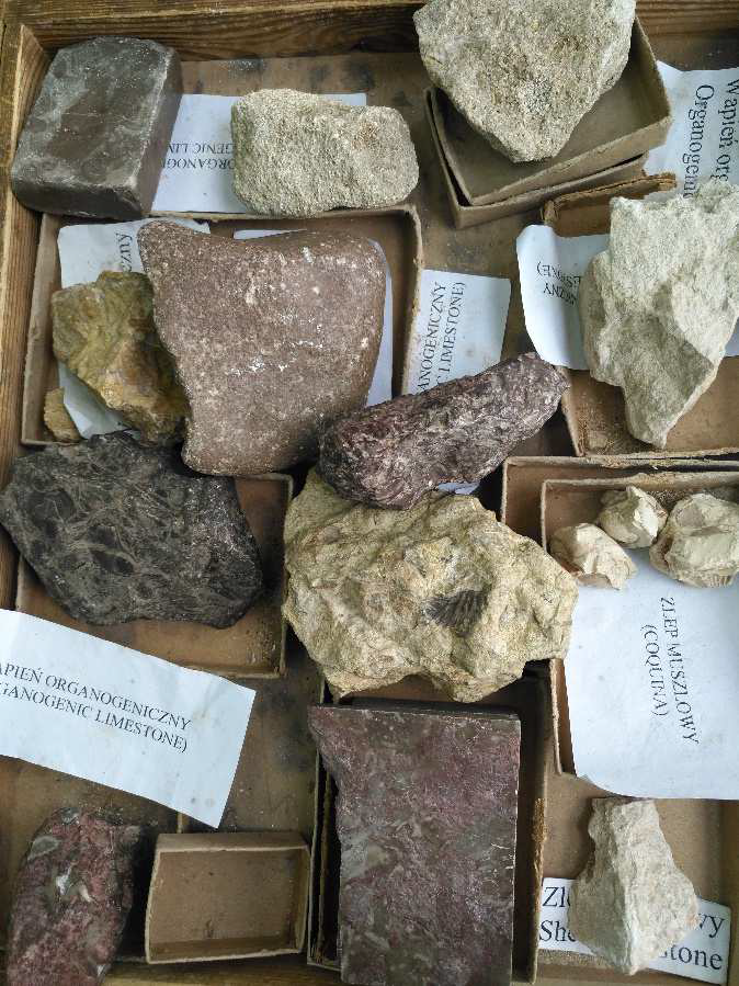 <p>Wapień organogeniczny - osadowe</p>