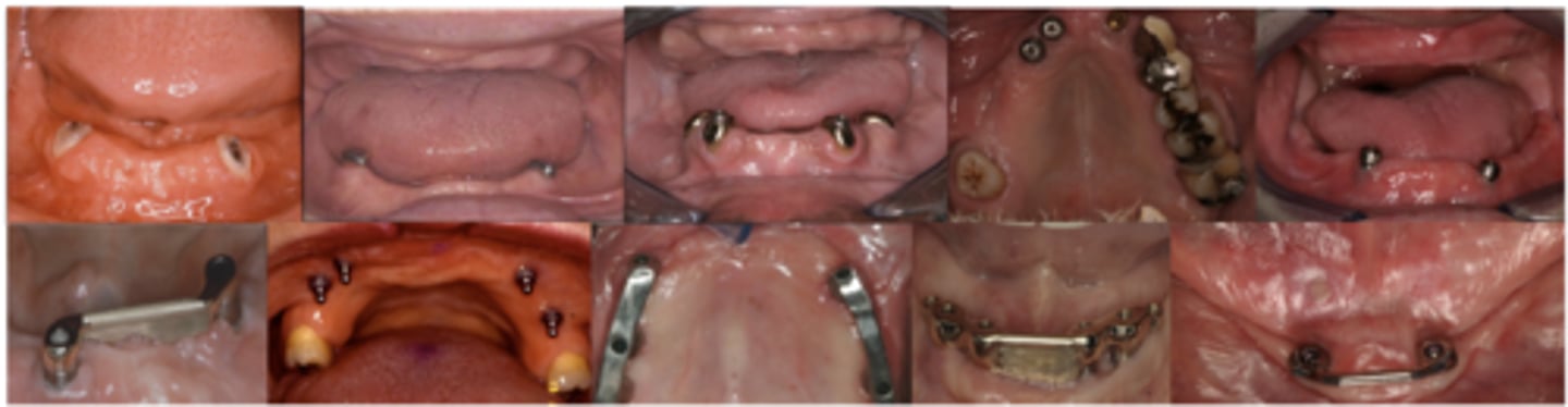 <p>What do the following show?</p>