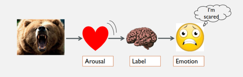 <p>physiological arousal determines the strength of the emotion, while cognitive appraisal identifies the emotion label.</p><p></p>