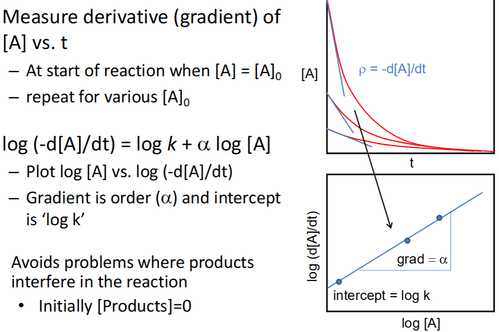 <p>initial rates method</p>