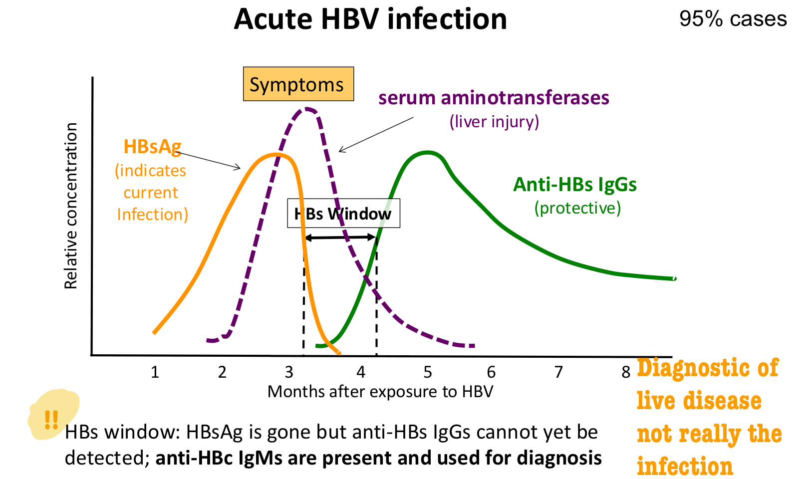 <p>when HBsAg is gone but anti-HBs IgGs (protective Abs, diagnostic of lover disease not quite HBV infection) undetectable </p>