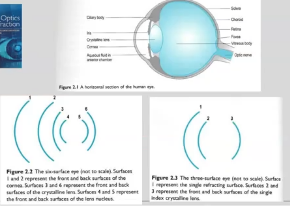 <p>top 2 show 2 surfaces of the cornea</p><p>bottom simplified - lenses is taken away and its power is assumed ot be contained within the cornea&nbsp;</p><p>power of the eye is around 60 D</p><p>40 D contained within the cornea&nbsp;&nbsp;</p><p></p>